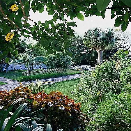 Hotel Internacional-2