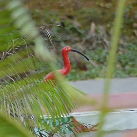 Pousada Maramazon-3