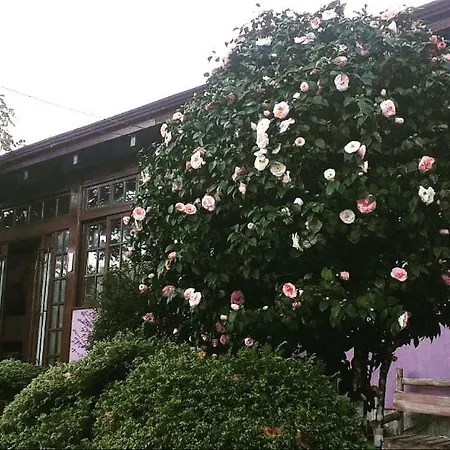Pousada Gardenia Guest House-3