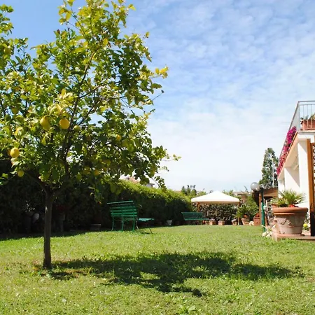 Villa Regina B&B-2