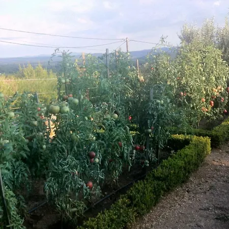 La bastide des anges-3