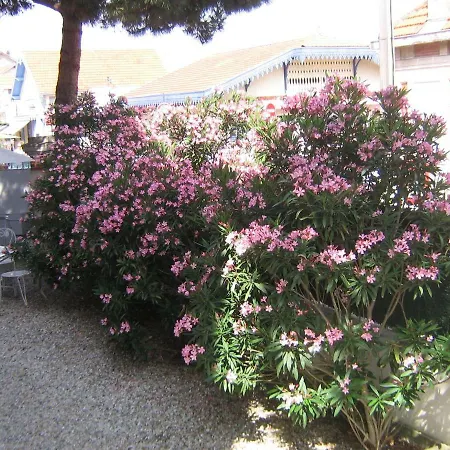 Villa Le Cid-3