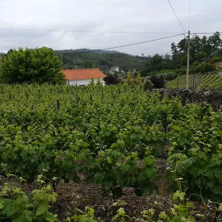 Casa Serra Da Lapa-3