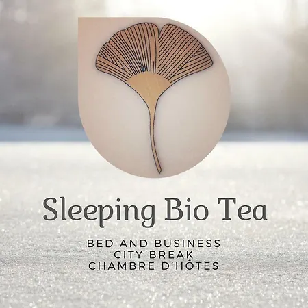 Sleeping Bio Tea-3