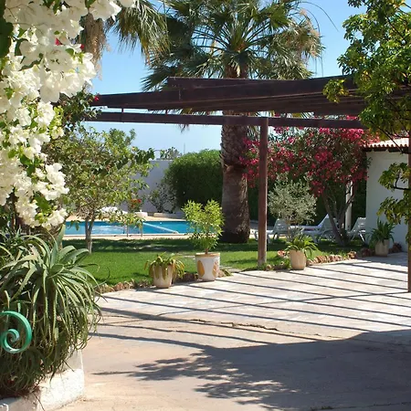Monte dos Avós Village - Pet Friendly-2