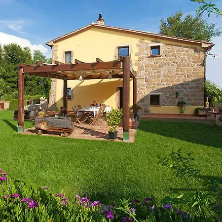 FicOlivo-2