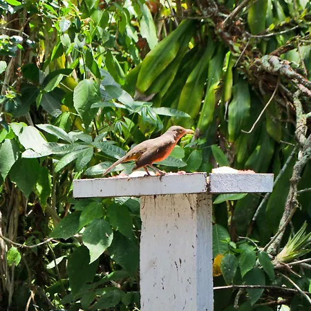 Pousada Renascer-3