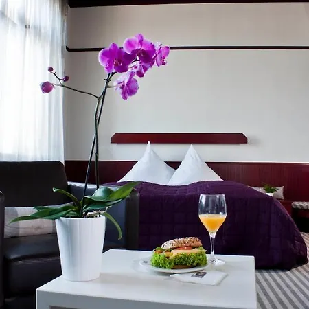 Hotel Neuer Karlshof-3