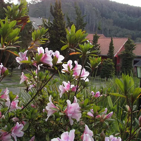 Pousada Flores da Serra-3
