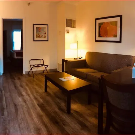 Baymont By Wyndham Tampa Near Busch Gardens-3
