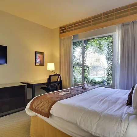 Casulo Hotel-2