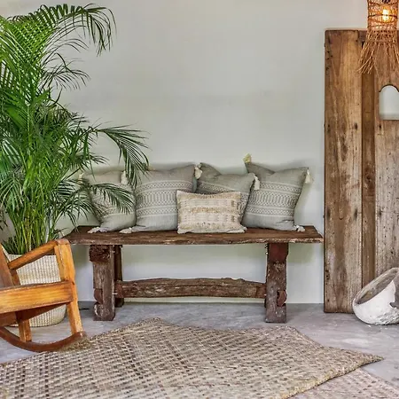 Zenses Wellness And Yoga Resort - Adults Only-3
