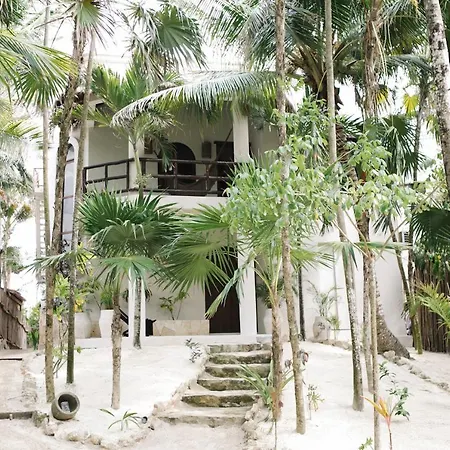 Nest Tulum-3