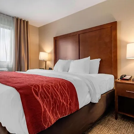 Comfort Inn & Suites South Hill I-85-3