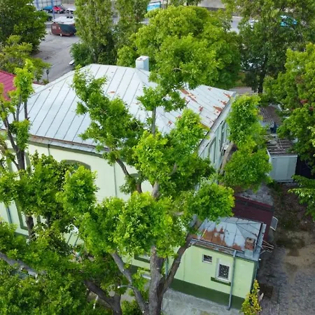Green House-3