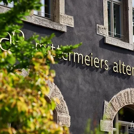 Mittermeiers Alter Ego-3