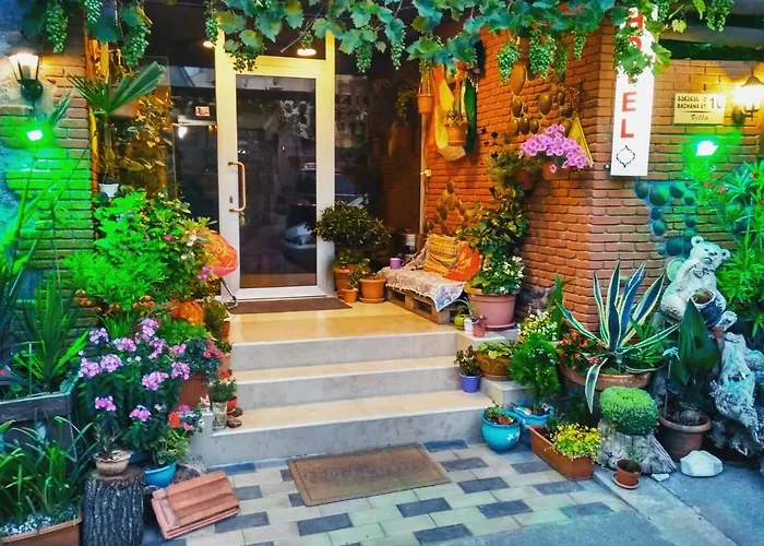 Hotel Villa On Bachana 10