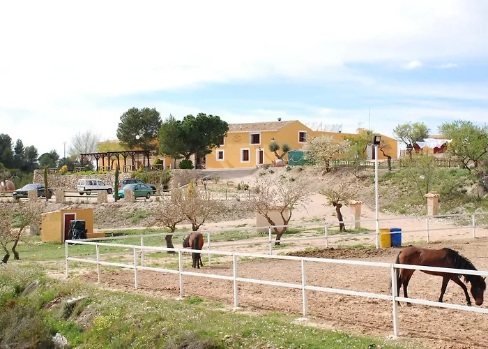 Complejo Rural Las Lomas de Biar