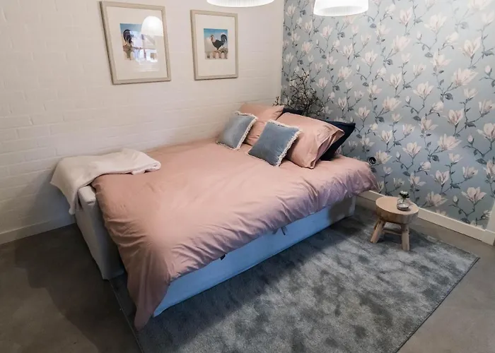 Blauwe Lucht Bed and Breakfast Deurne