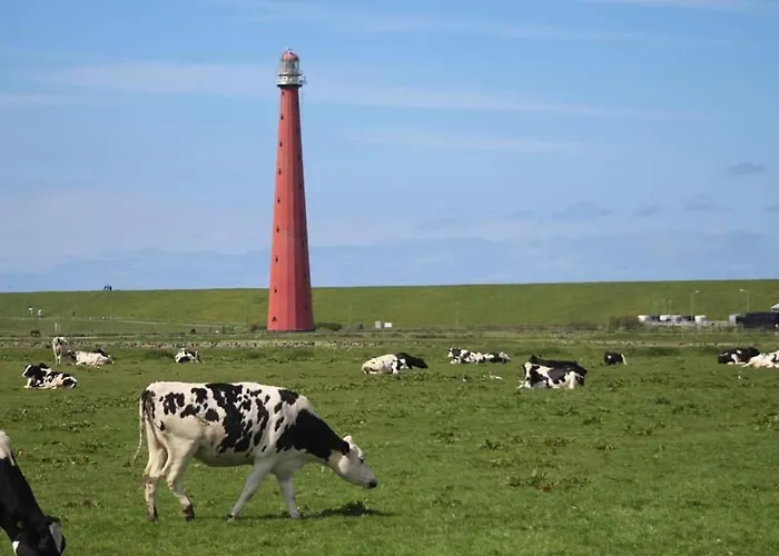 Overnachten Onder De Lange Jaap Den Helder