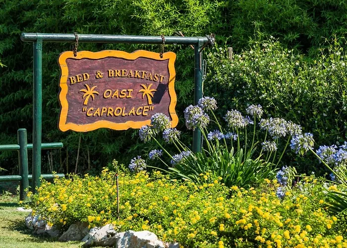 Oasi Caprolace
