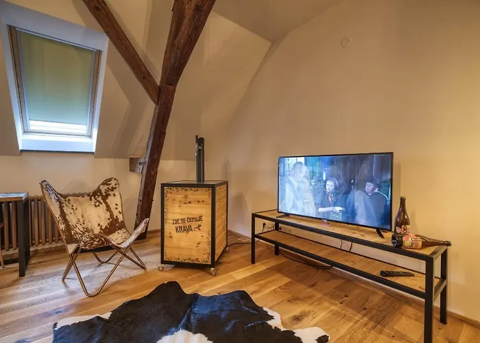 Hotels in Nepomuk (Plzen-South)