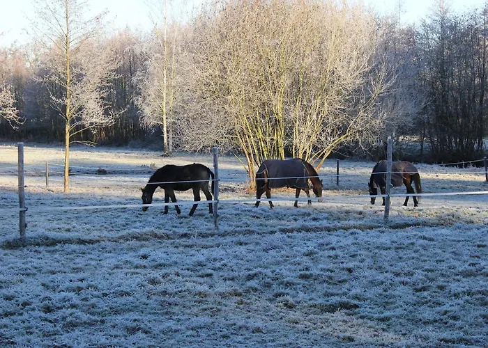 B&B Landgoed Bergerven