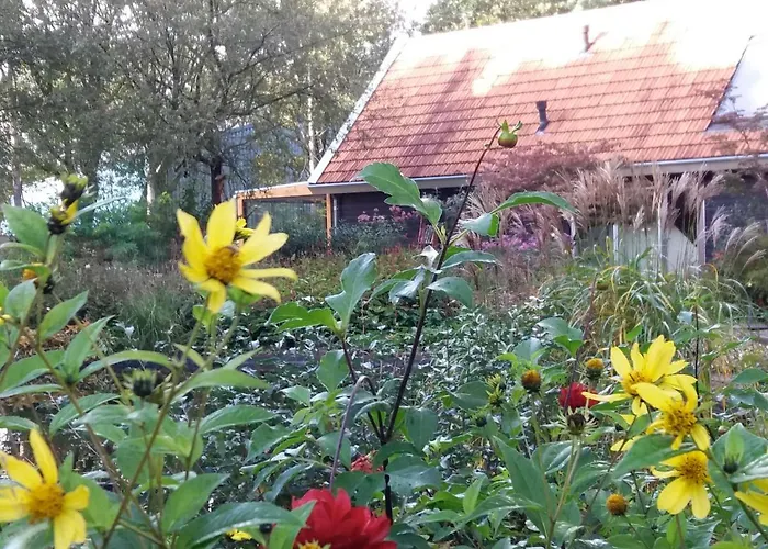 B&B Immer Met Moed