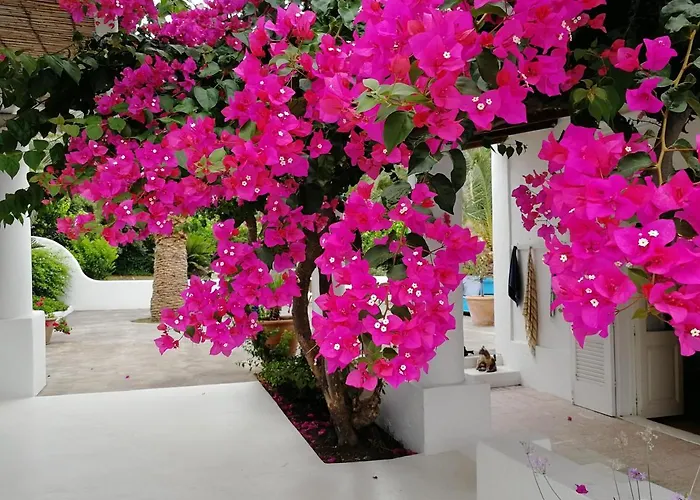 Bed and Breakfast Casa Carlotta Stromboli