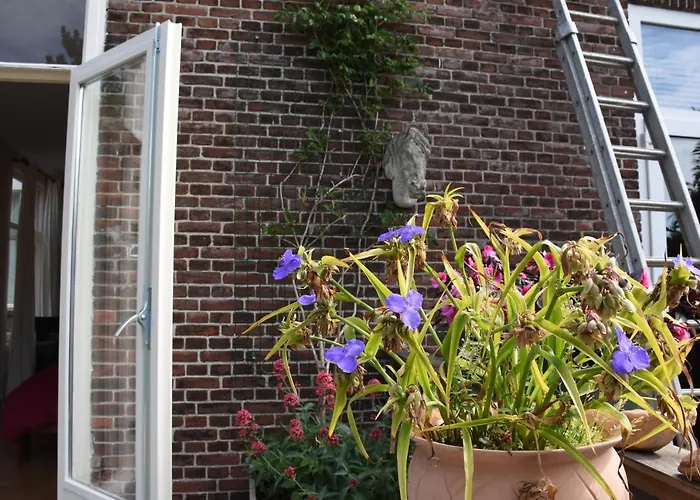 Bed&Breakfast Leonie Den Haag
