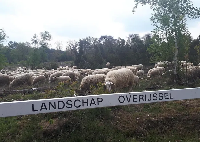 De Hammerhoeve