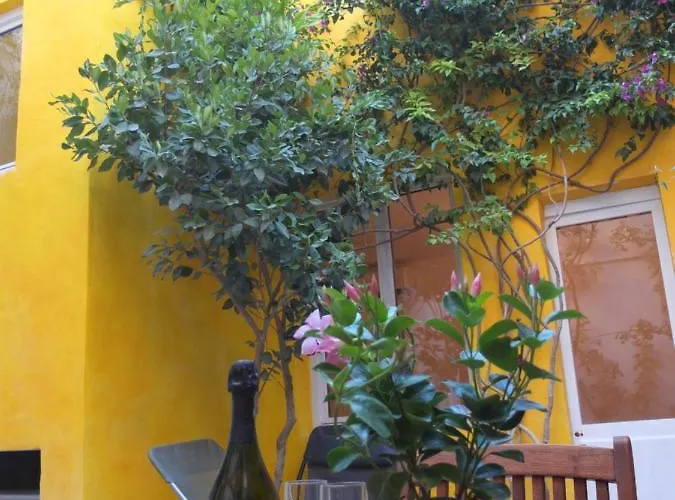 La maison jaune Sète
