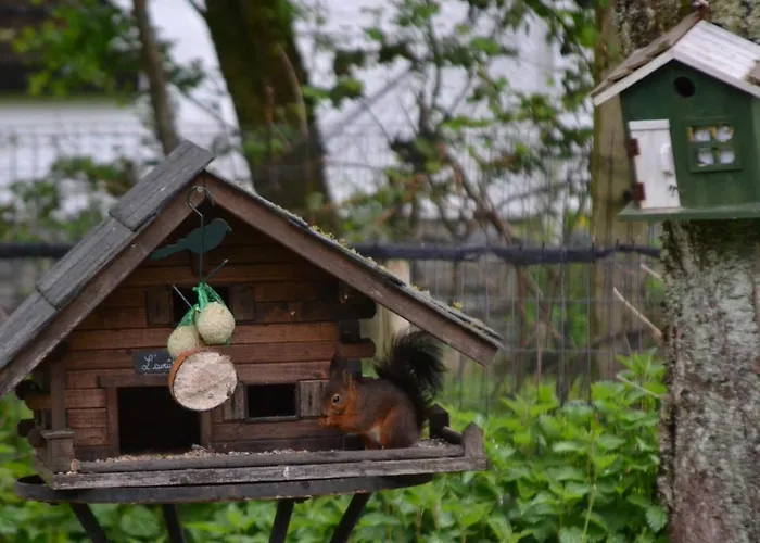 A La Ferme Du Pere Eugene Hotel Malmedy