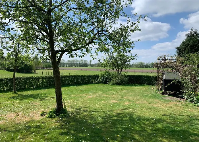 Hoeve Zandbelt Markelo