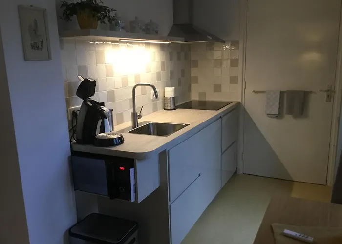 B & B Rosamie