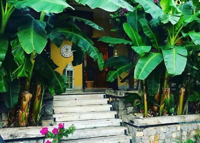 Hotels in Sarigerme