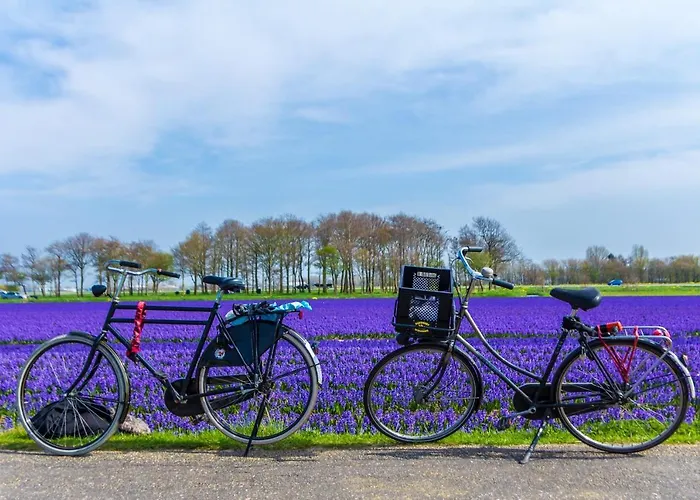 Slapen bij de Buurvrouw Bed and Breakfast Castricum