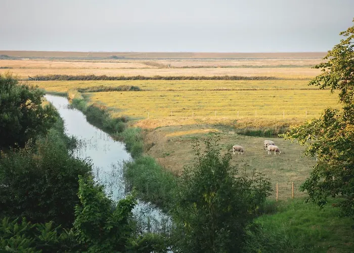 Hotels in Westerhever