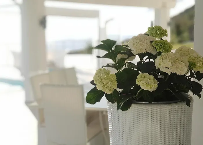 White Club Residence Belvedere Marittimo