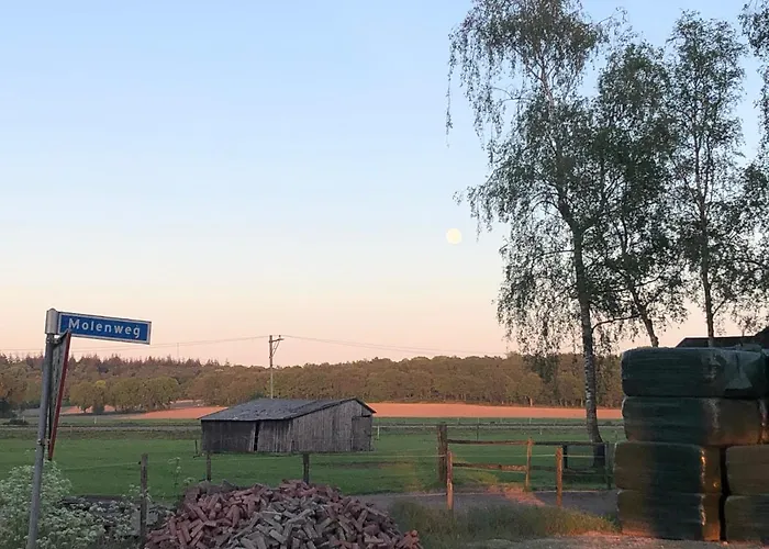Driesterrenhotels in Lunteren