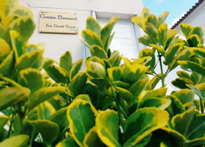 Green Element Guesthouse Costa da Caparica