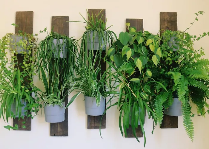 Green Element Guesthouse