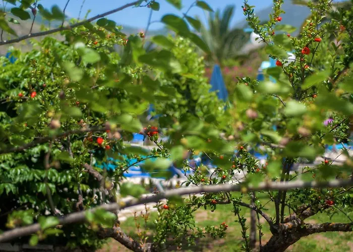 Hotels in Katelios