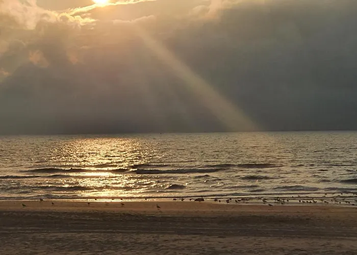 Scheveningen Sea Side Hotel Den Haag