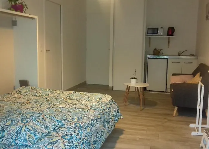 Studio dans quartier calme près de tout La Roche-sur-Yon