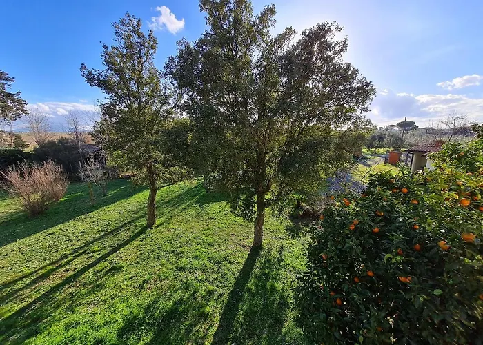 B&B L'Acquarello Marina di Grosseto