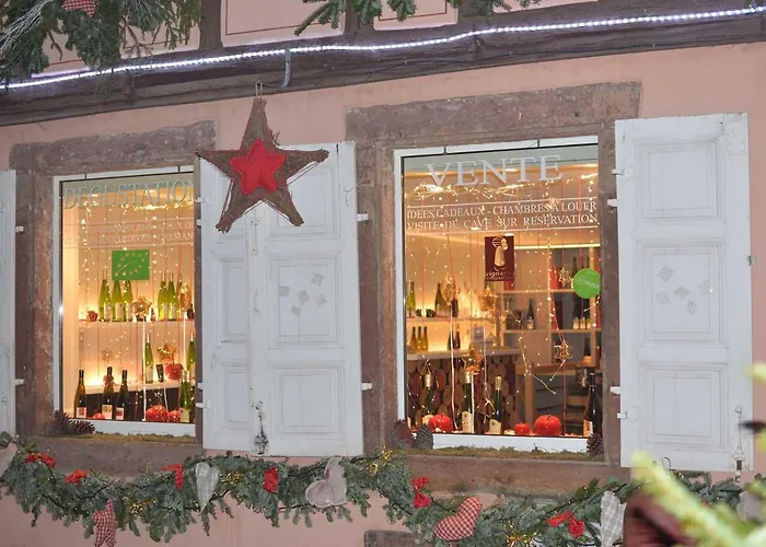 CHEZ CECILE Bed&Breakfast chez le VIGNERON Colmar