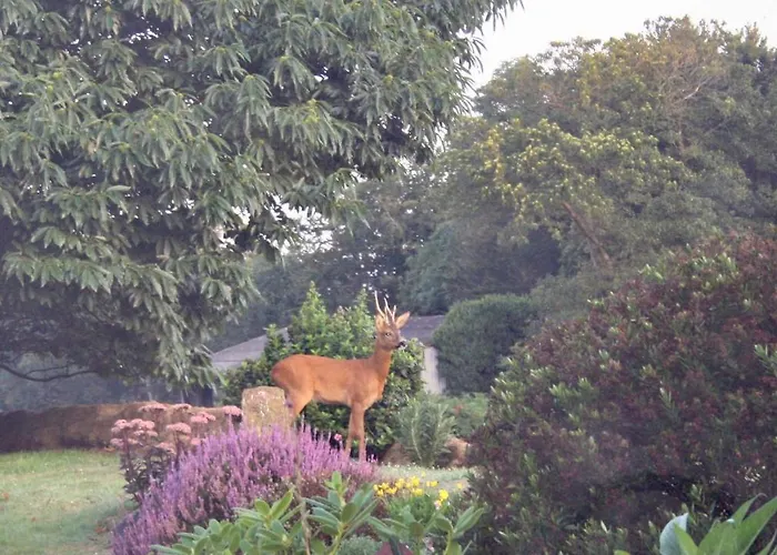 Bed and Breakfast Breizh A-Gevret à Lannion
