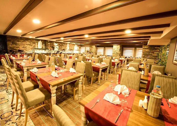 Hotels in Erciyes