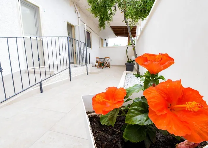 B&B Macchia Mediterranea